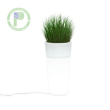 Jardinera Iluminada